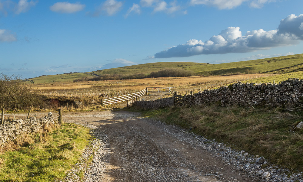 High Rake